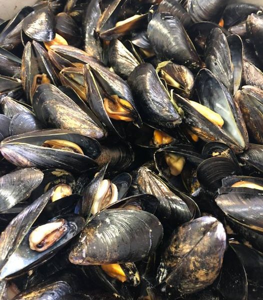 Cozze